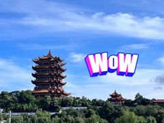 -黄鹤楼公园(黄鹤楼)