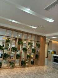 -碧莲盛·不剃发植发
