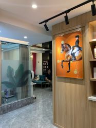 -归真美学颜究中心