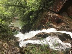 -九龙江国家森林公园