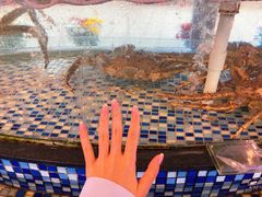 -顺德了能馆(虎门店)