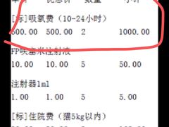 -伟伟宠物医院·瑞派猫友好医院·猫科(光谷店)
