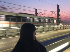 -海堤纪念公园