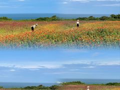 -湄洲岛