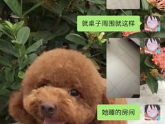 -天鹅到家·保姆月嫂育儿嫂(天河店)