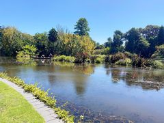 -墨尔本皇家植物园