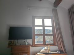 -两棵枇杷树