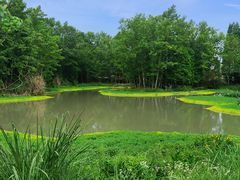 -桤木河湿地公园