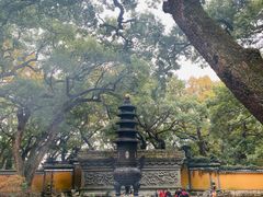 -普陀山风景名胜区-法雨禅寺