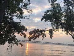 -宝安西湾红树林湿地公园