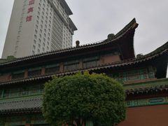 -南京钟山宾馆(江苏省会议中心)