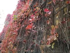 -辽宁大学(崇山校区)
