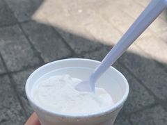 -洪馨椰子