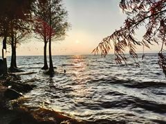 -香山湖渔家大院