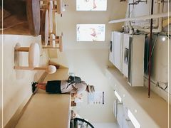 -狐狸和向日葵(北京路店)