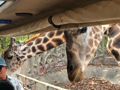 -清迈夜间动物园