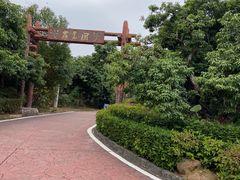 -大屏嶂森林公园