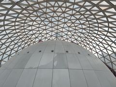 -陕西自然博物馆