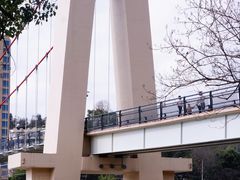 -永安龟山公园