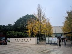 -金沙遗址博物馆