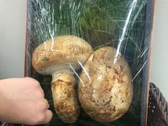 -盒马X会员店(上海森兰商都店)