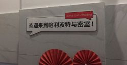 -禧趣婚礼