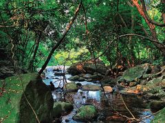 -梧桐山风景名胜区