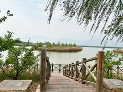 -野鸭湖国家湿地公园