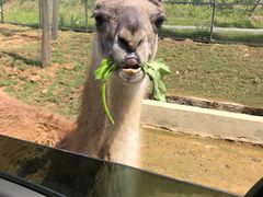 -南京金牛湖风景区