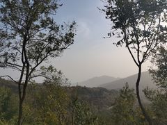 -北京西山国家森林公园