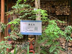 -呀路古热带植物园