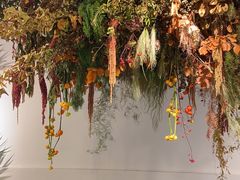 -自由生长植物工作室(深港花卉中心店)
