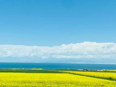 -青海湖国家重点风景名胜区