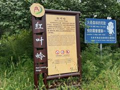 -北京西山国家森林公园