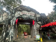 -莫里热带雨林景区