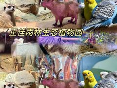 -韵姐牛奶甜品世家