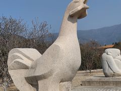 -北京十三陵国家森林公园蟒山景区