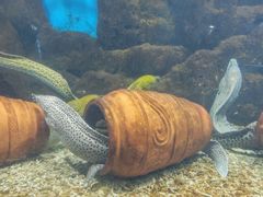 -福州罗源湾海洋世界旅游区