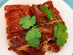 -椿记烧鹅(叠彩店)