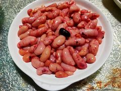 -鸭嘴鱼