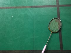 -东丽温泉羽毛球