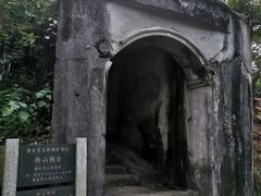 -羚羊峡古栈道森林公园