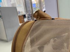 -美美宠物诊疗中心·异宠·骨科(滨江东信分院)