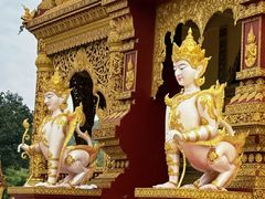 -西双版纳勐泐文化旅游区