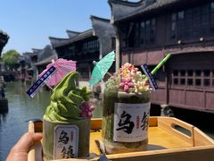 -乌镇东栅景区
