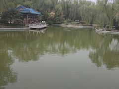 -南宫五洲植物乐园