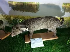 -下渚湖国家湿地公园科普馆