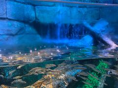 -沈阳海洋探索中心