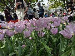 -石家庄市植物园