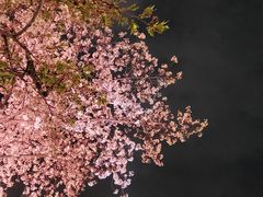 -西北湖绿化广场